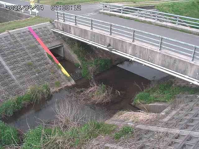 茅町川１2026/04/14 17:00:00