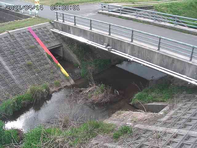 茅町川１2026/04/14 17:00:00