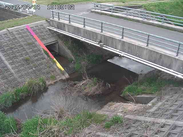 茅町川１2026/04/14 17:00:00