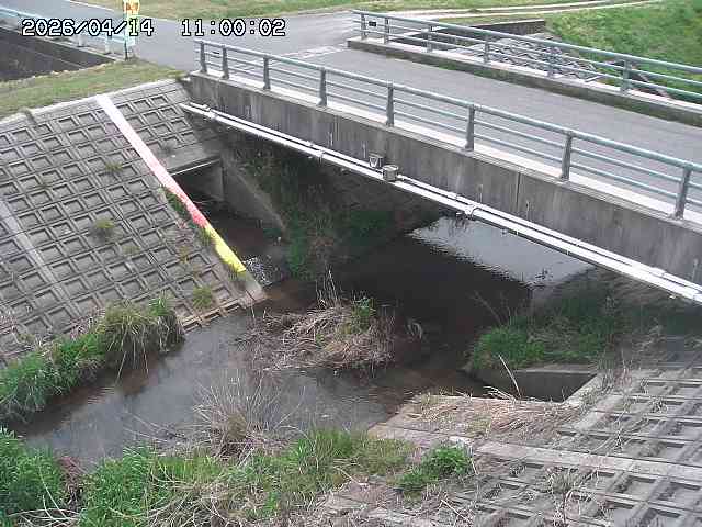 茅町川１2026/04/14 17:00:00