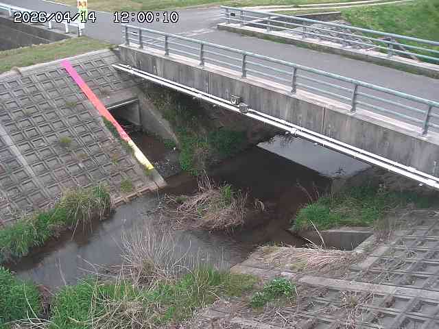 茅町川１2026/04/14 17:00:00