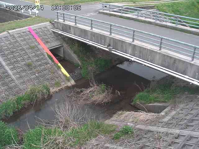 茅町川１2026/04/14 17:00:00