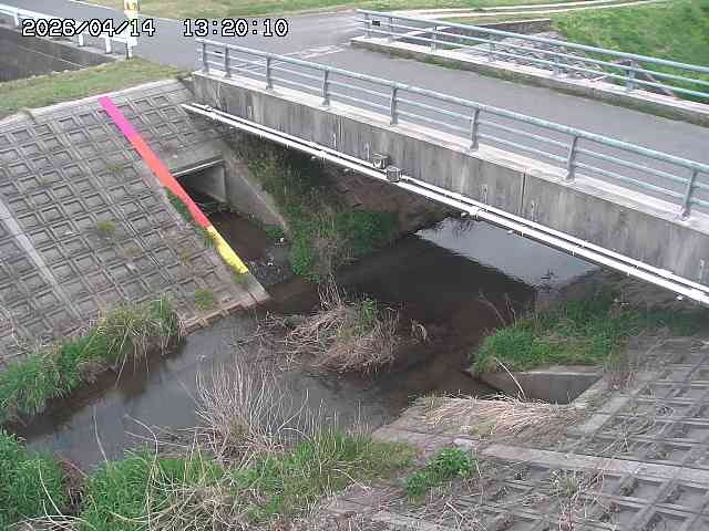 茅町川１2026/04/14 17:00:00