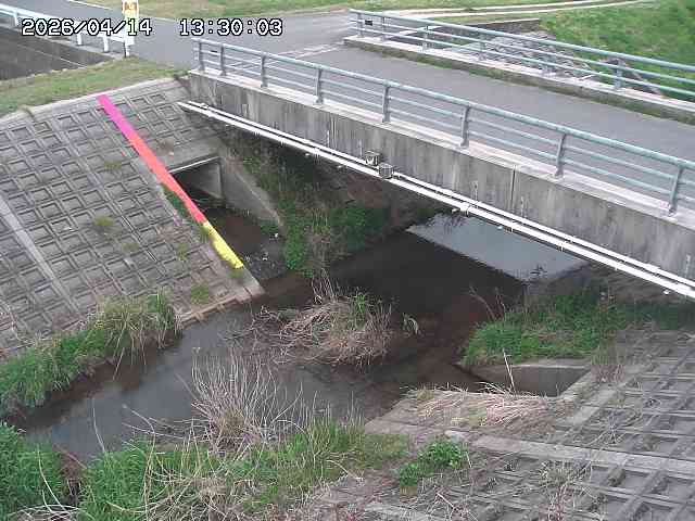 茅町川１2026/04/14 17:00:00