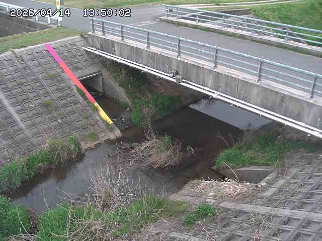 茅町川１2026/04/14 17:00:00