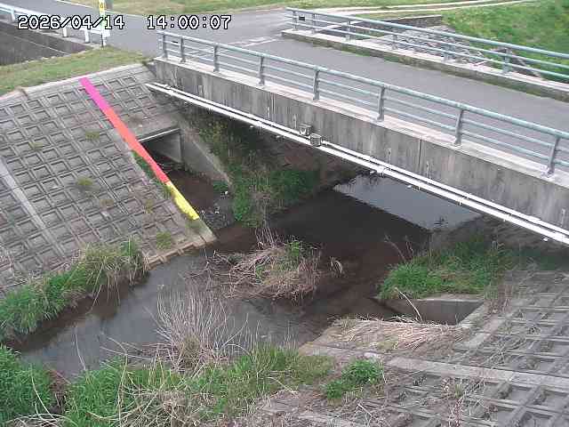 茅町川１2026/04/14 17:00:00