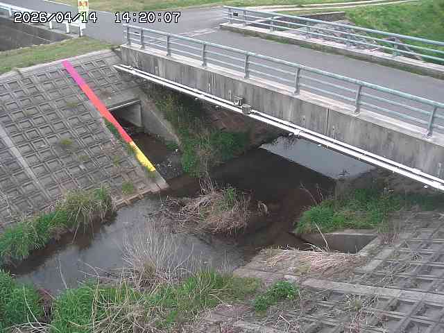 茅町川１2026/04/14 17:00:00