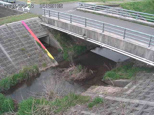 茅町川１2026/04/14 17:00:00