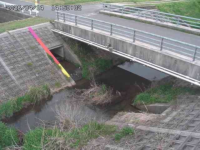 茅町川１2026/04/14 17:00:00