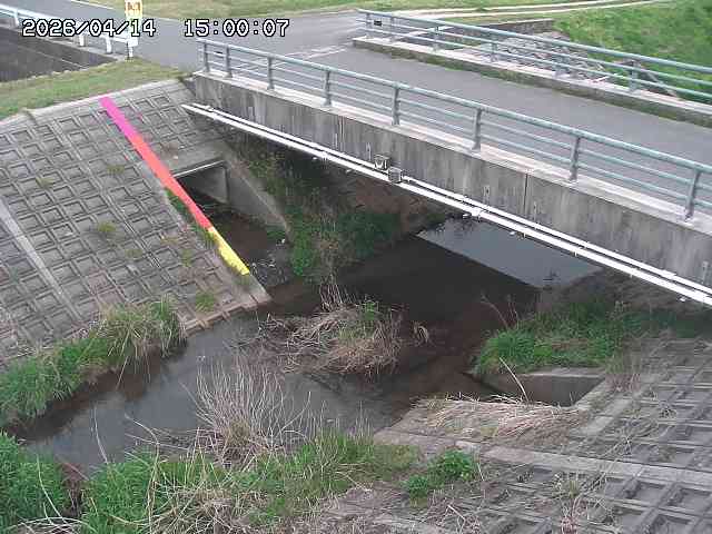茅町川１2026/04/14 17:00:00