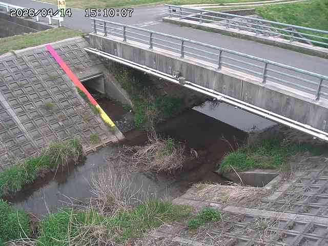 茅町川１2026/04/14 17:00:00