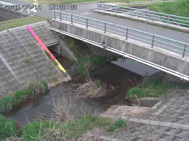 茅町川１2026/04/14 17:00:00