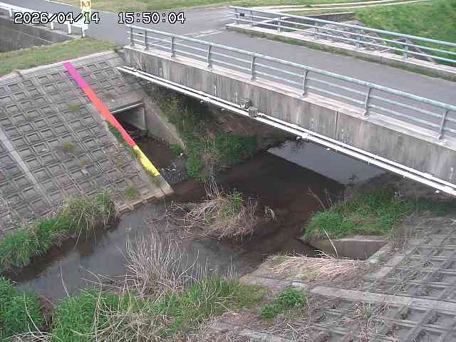 茅町川１2026/04/14 17:00:00