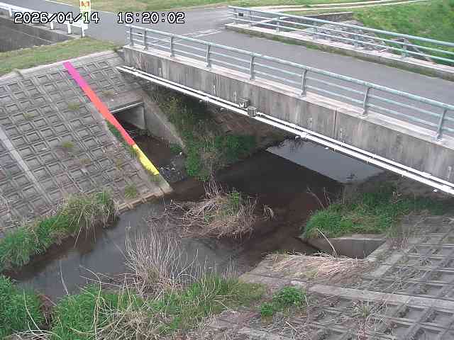 茅町川１2026/04/14 17:00:00