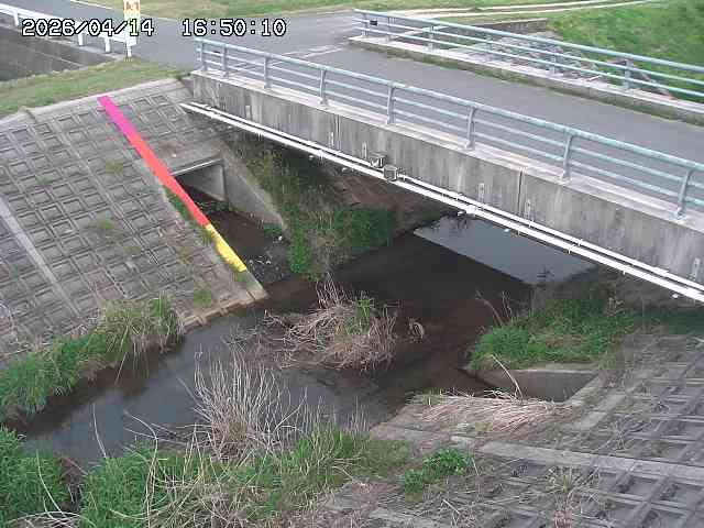 茅町川１2026/04/14 17:00:00