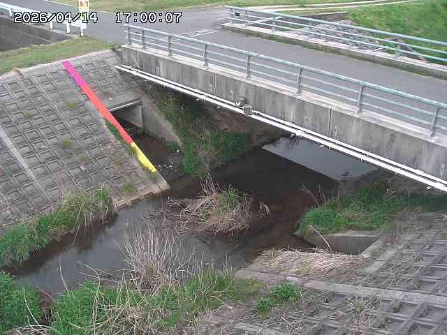 茅町川１2026/04/14 17:00:00