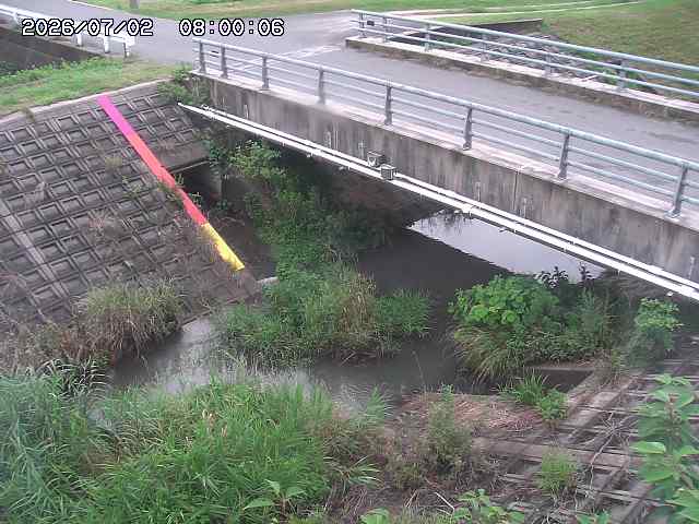 茅町川１2026/07/03 8:30:00