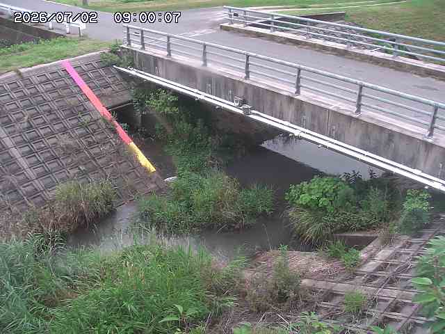茅町川１2026/07/03 8:30:00
