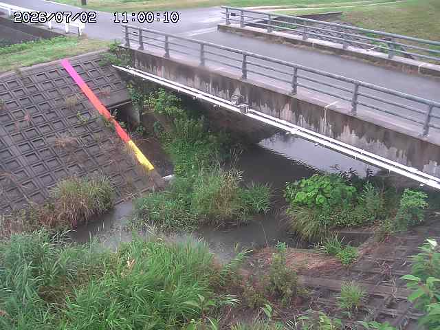 茅町川１2026/07/03 8:30:00