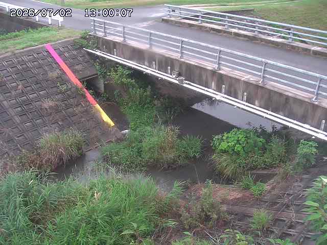 茅町川１2026/07/03 8:30:00