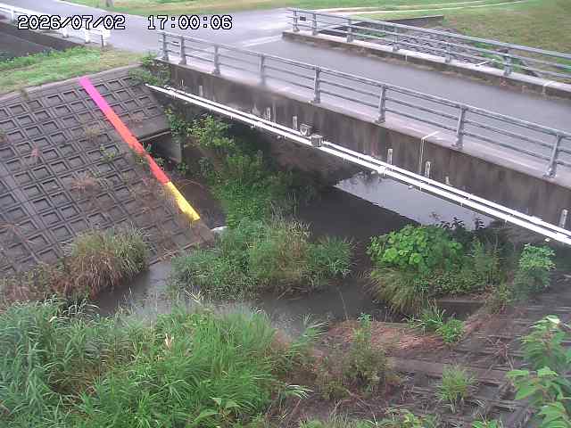 茅町川１2026/07/03 8:30:00