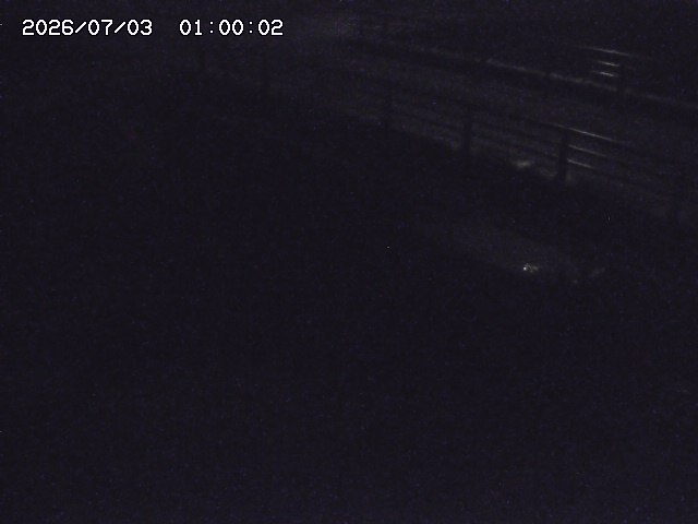 茅町川１2026/07/03 8:30:00