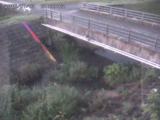 茅町川１2026/07/03 8:30:00