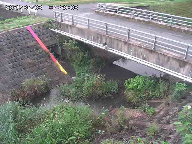 茅町川１2026/07/03 8:30:00