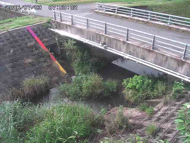 茅町川１2026/07/03 8:30:00