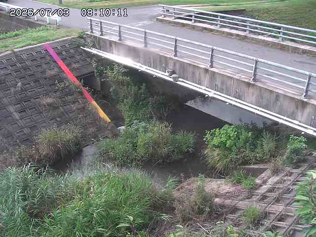 茅町川１2026/07/03 8:30:00