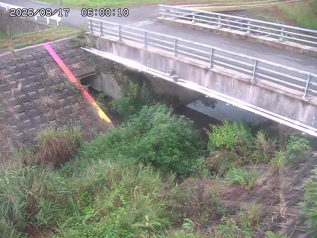 茅町川１2026/08/17 20:40:00