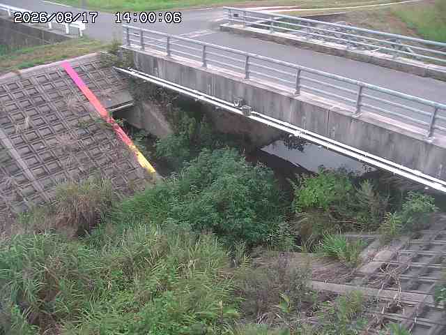 茅町川１2026/08/17 20:40:00