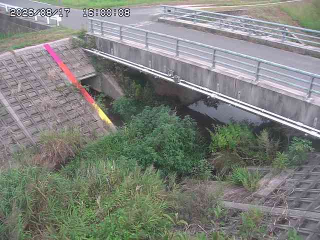 茅町川１2026/08/17 20:40:00