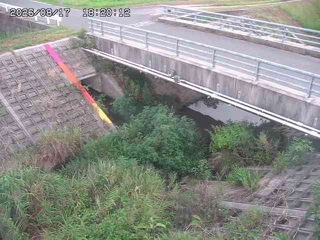 茅町川１2026/08/17 20:40:00