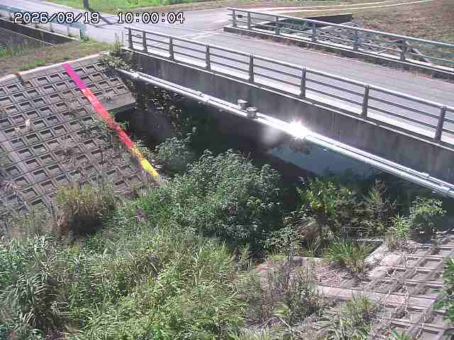 茅町川１2026/08/20 9:10:00