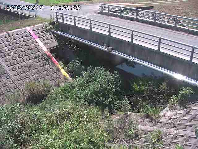 茅町川１2026/08/20 9:10:00