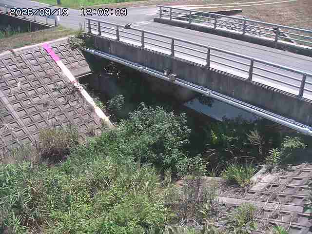 茅町川１2026/08/20 9:10:00