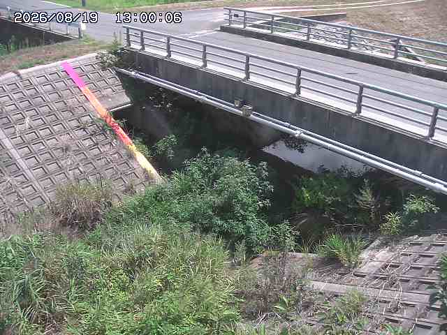茅町川１2026/08/20 9:10:00