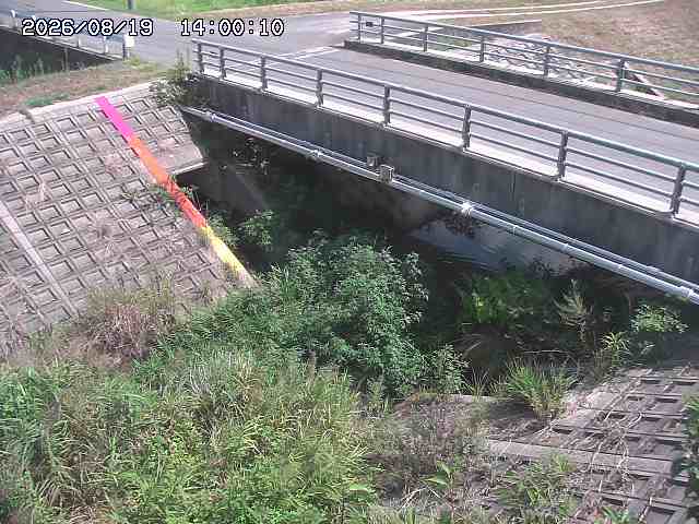 茅町川１2026/08/20 9:10:00