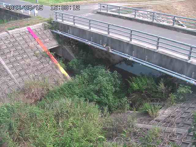 茅町川１2026/08/20 9:10:00