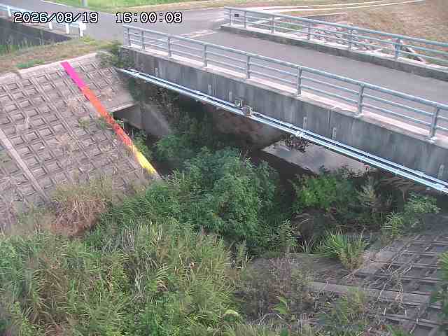 茅町川１2026/08/20 9:10:00