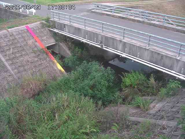 茅町川１2026/08/20 9:10:00