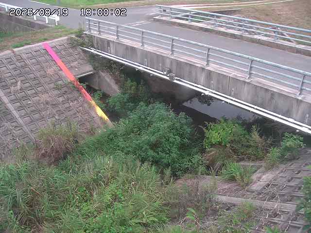 茅町川１2026/08/20 9:10:00