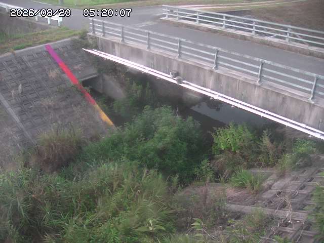 茅町川１2026/08/20 9:10:00