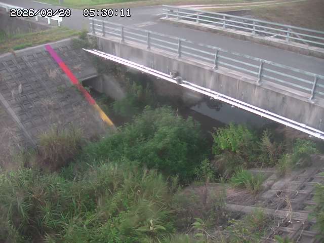 茅町川１2026/08/20 9:10:00
