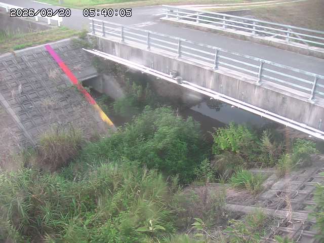 茅町川１2026/08/20 9:10:00