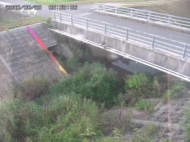 茅町川１2026/08/20 9:10:00