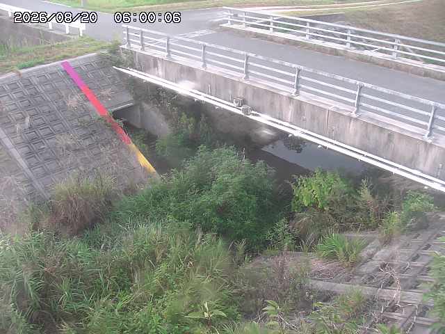 茅町川１2026/08/20 9:10:00