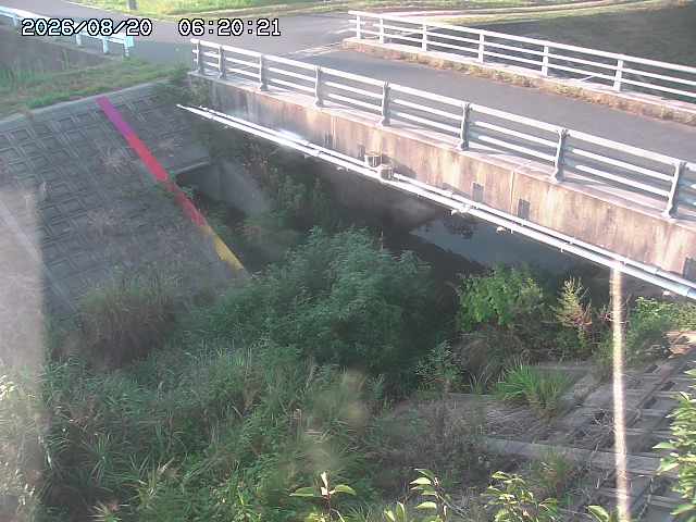 茅町川１2026/08/20 9:10:00
