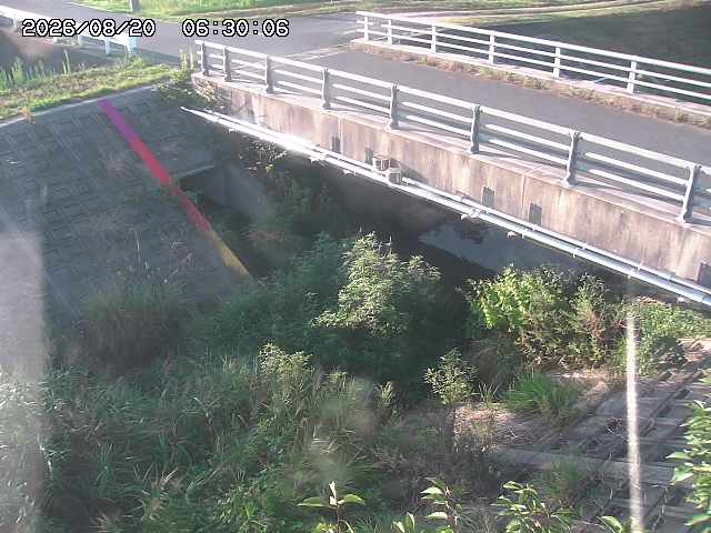 茅町川１2026/08/20 9:10:00